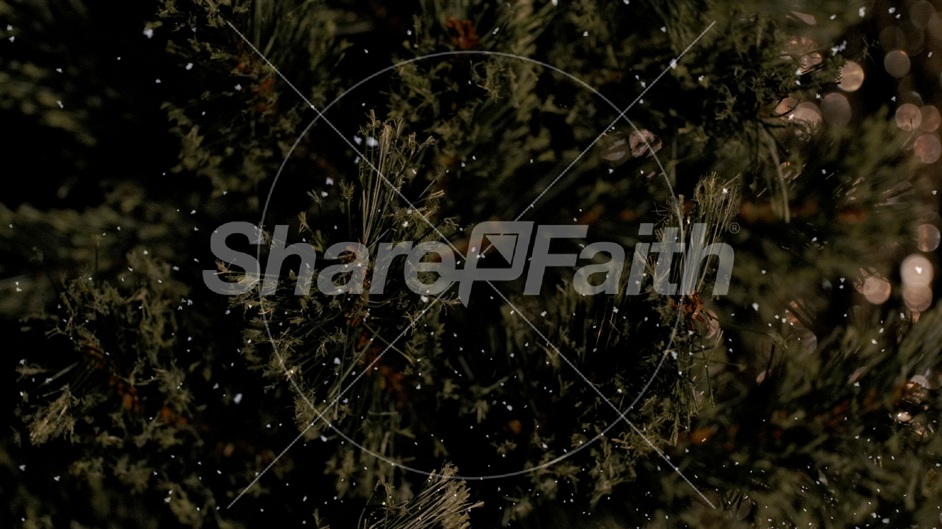 Christmas Tree: 10 – Still