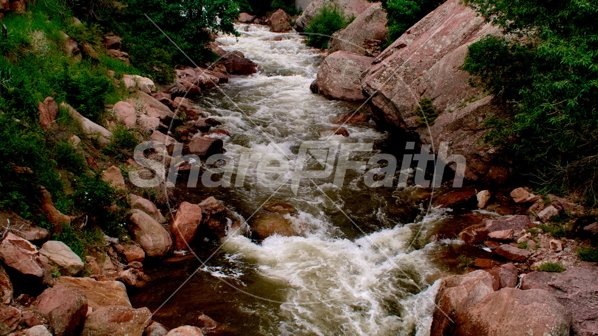 El Dorado Collection: 1 Still