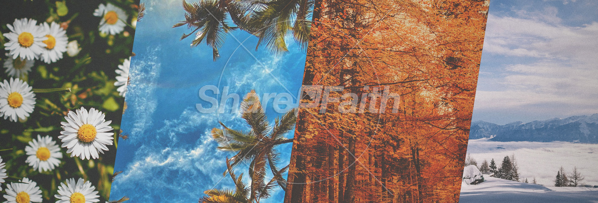 For Every Season Collection: Web Banner