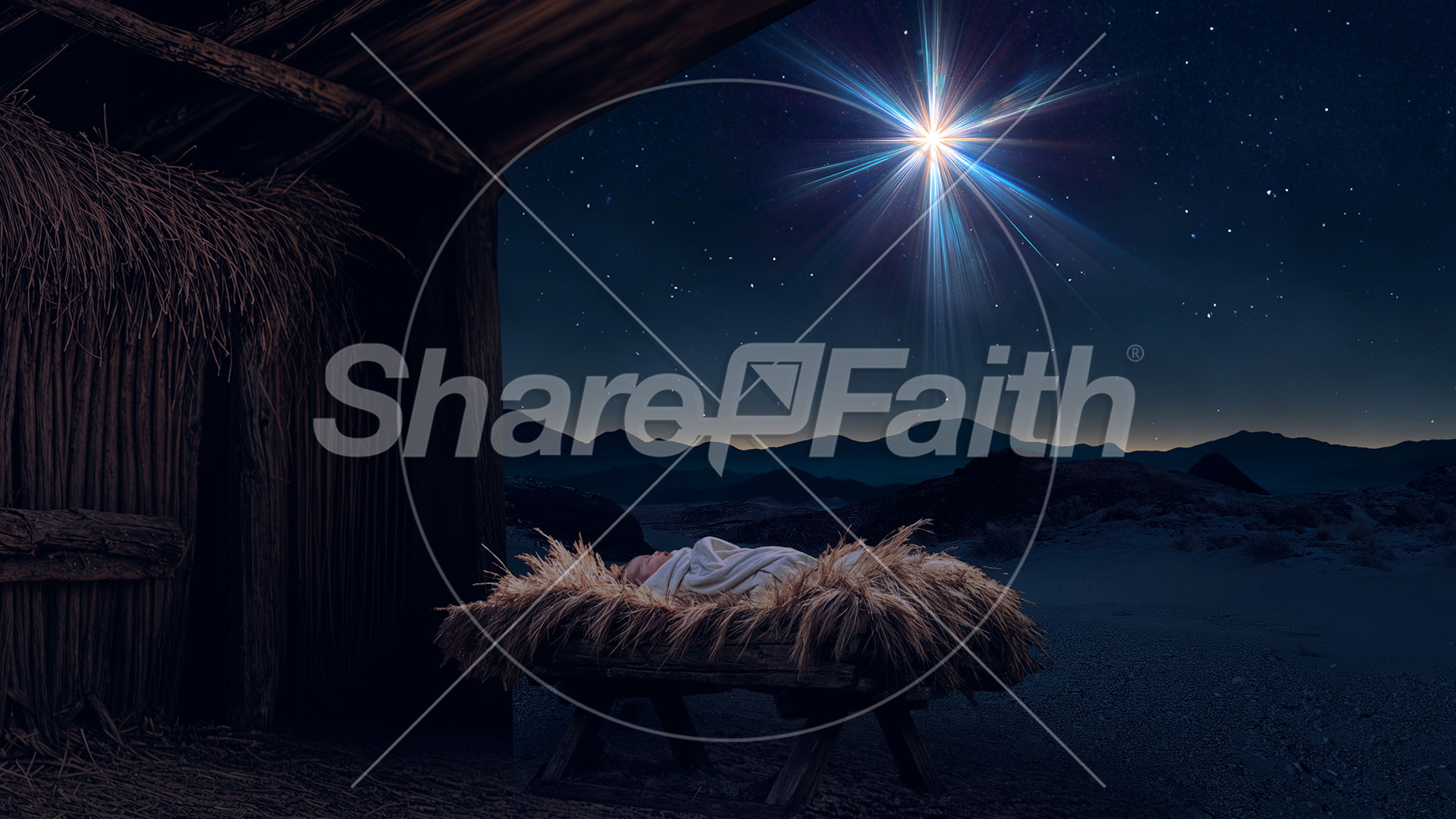 Christmas Promise Collection: Christmas Promise 5 Still