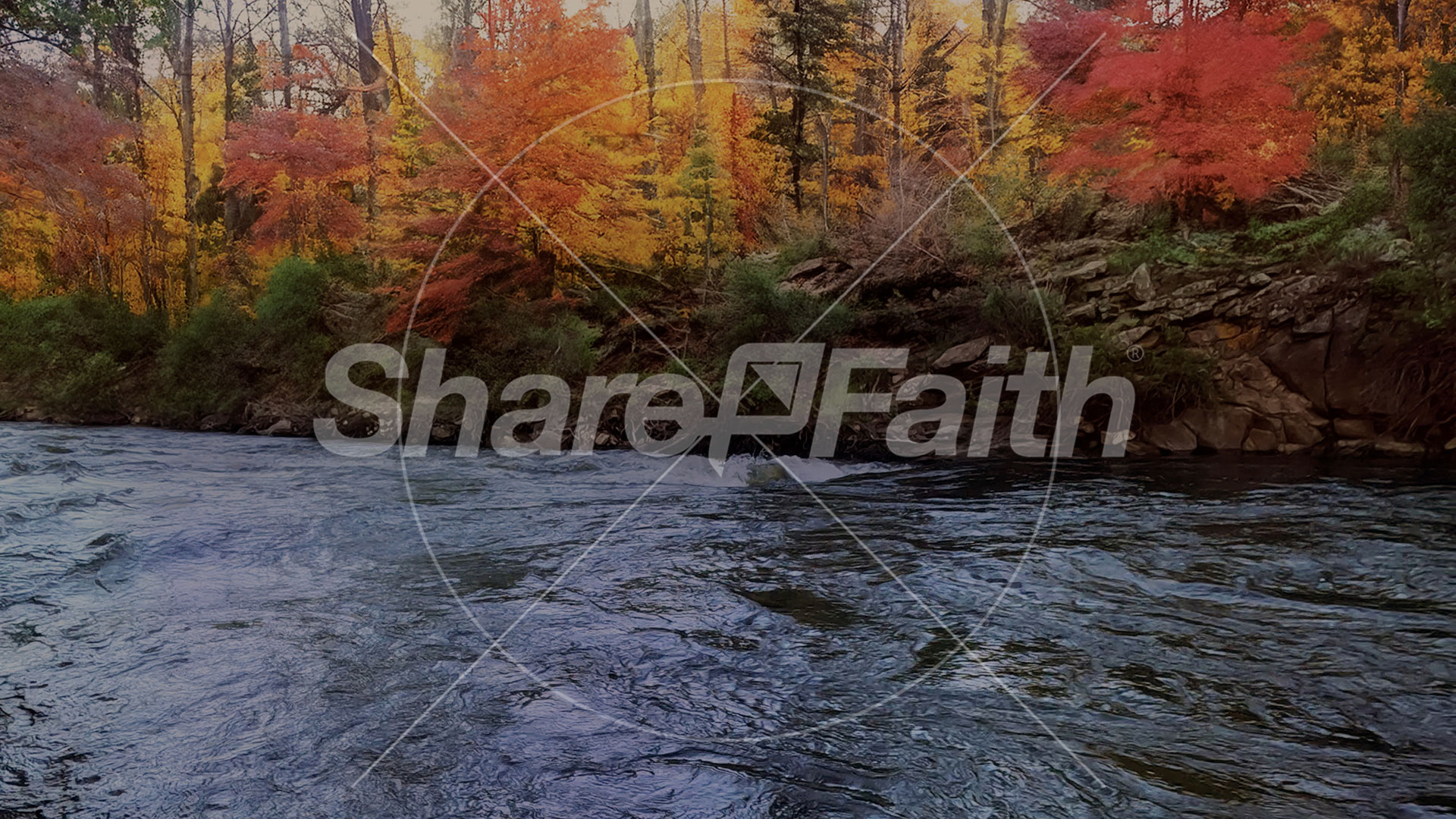 Northwest Fall Collection: Northwest Fall 13 Still