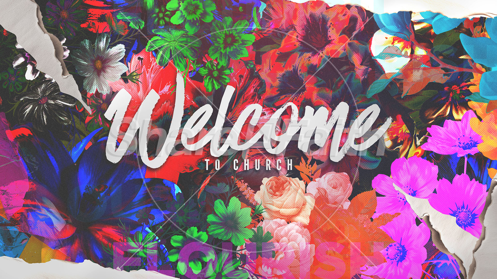 Flourish: Title Graphic