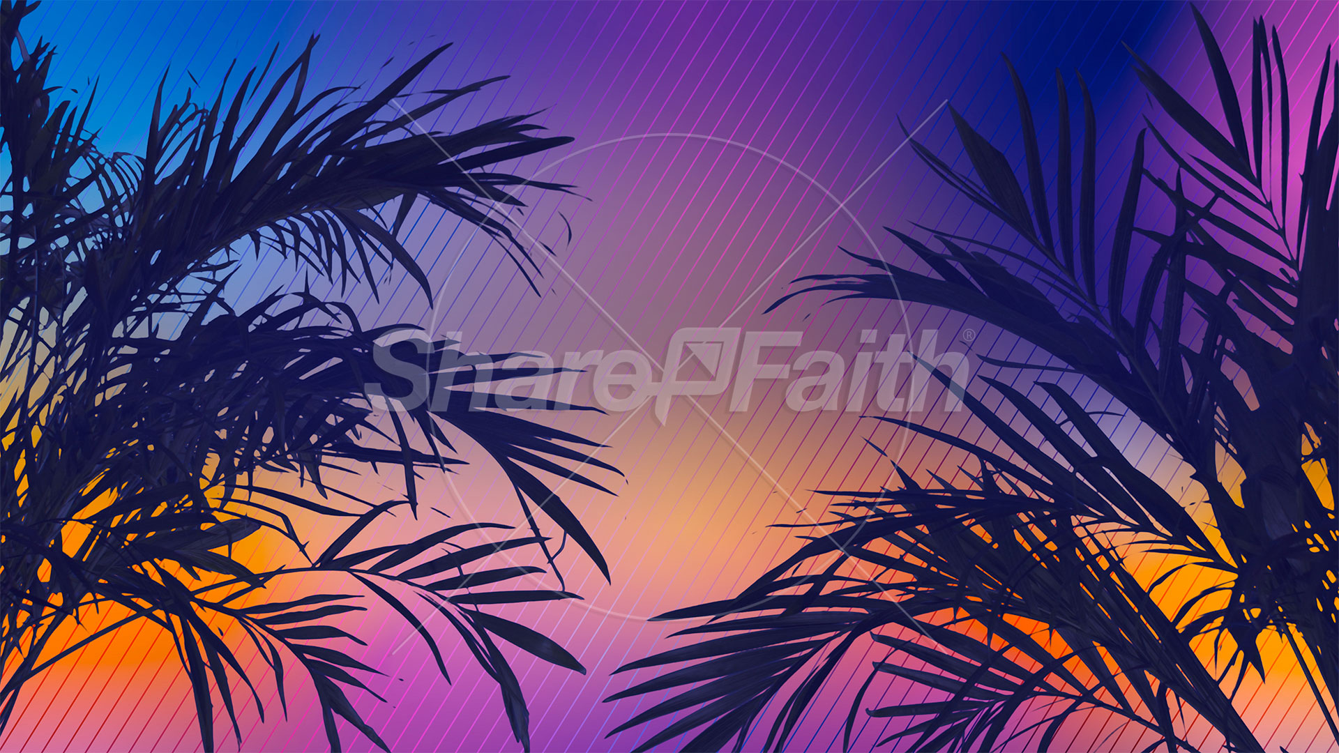 Sun Palms Collection: 7