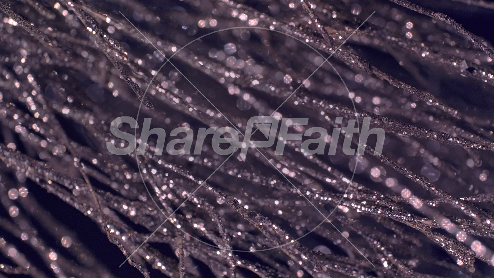 Christmas Gold 3 – Still