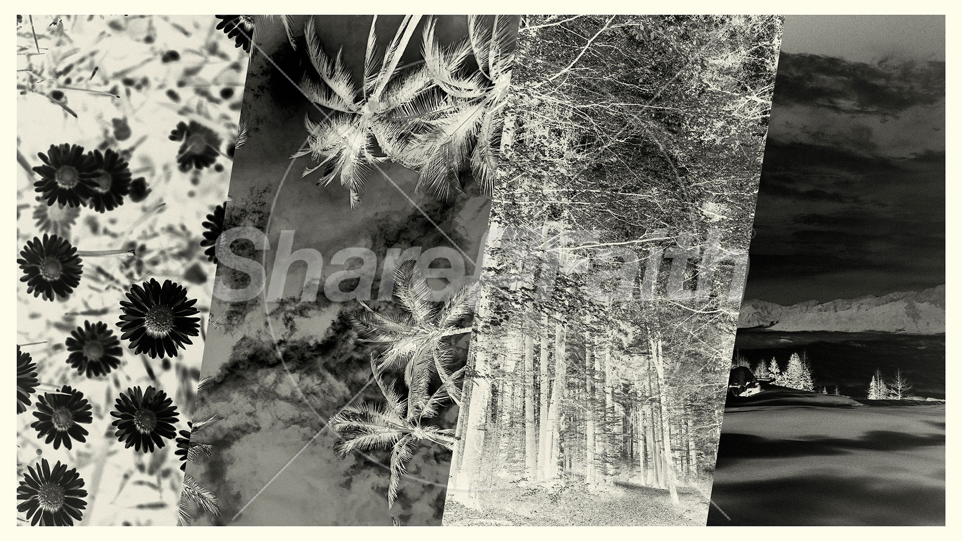 For Every Season Collection: Title Graphics