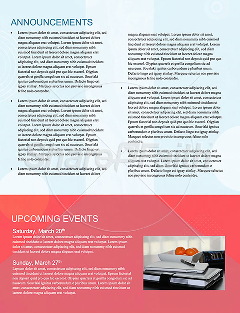 Comfort Zone: Newsletter