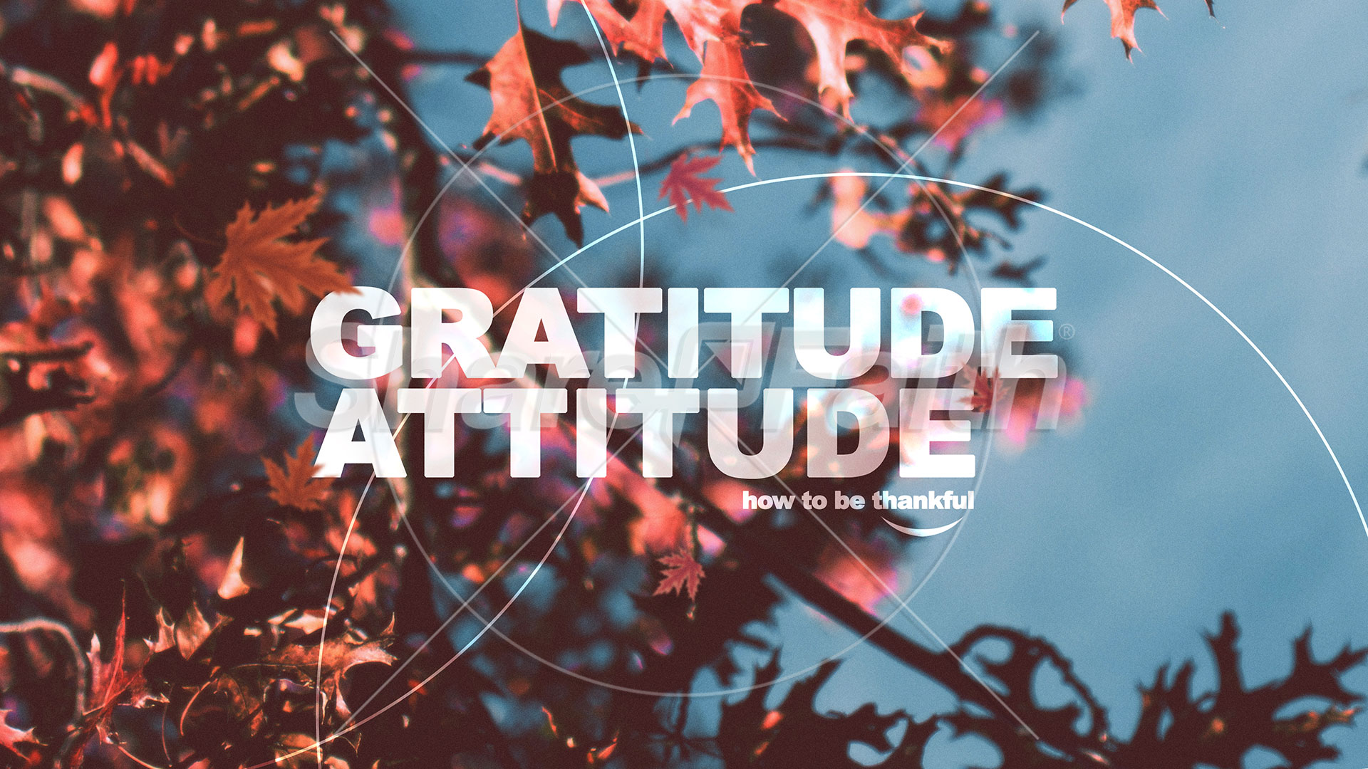 Gratitude Attitude: Social Media Graphic