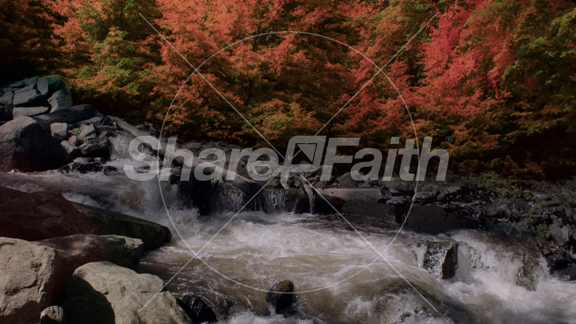 Northwest Fall Collection: Northwest Fall 15 Still