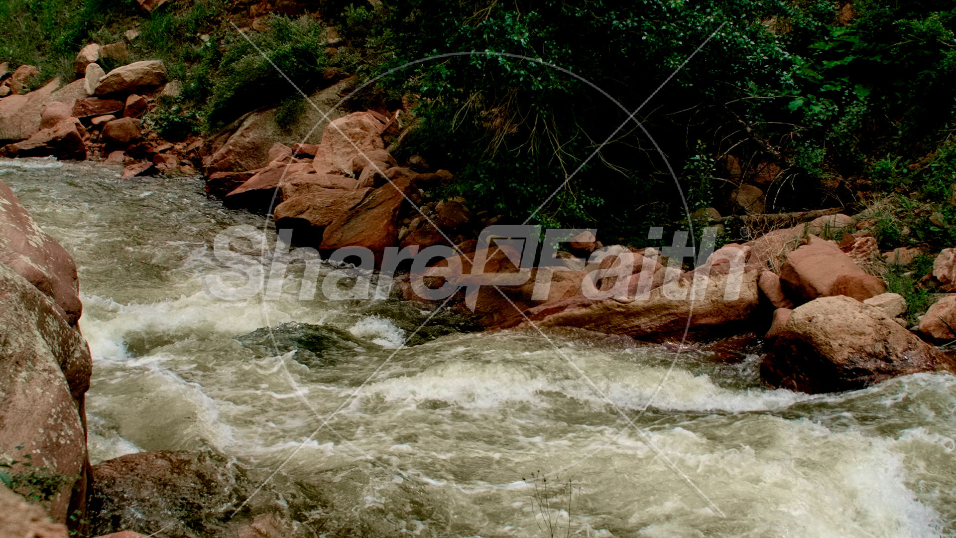 El Dorado Collection: 14 Still