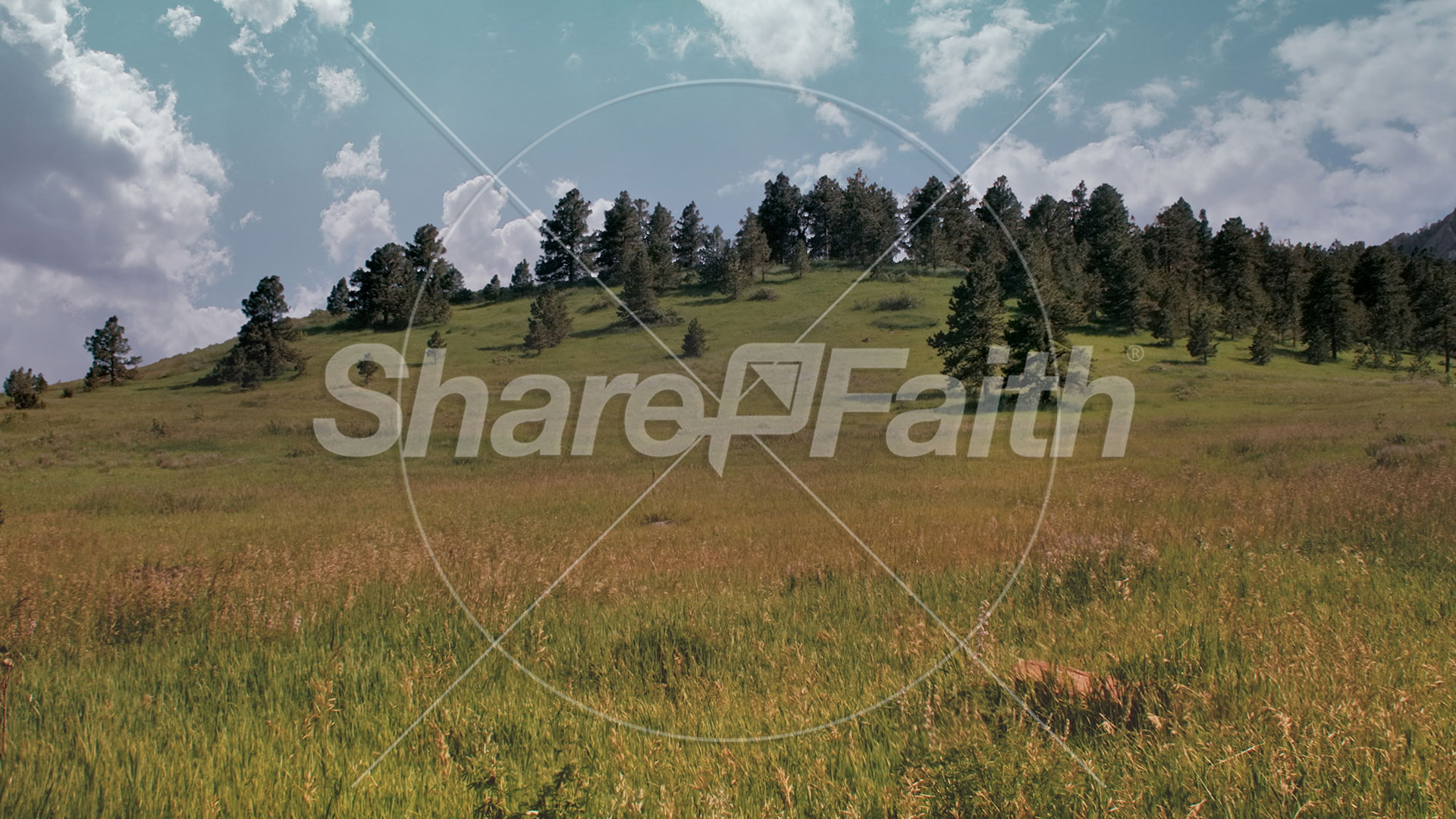 Flatirons Collection: Flatirons 11 Still