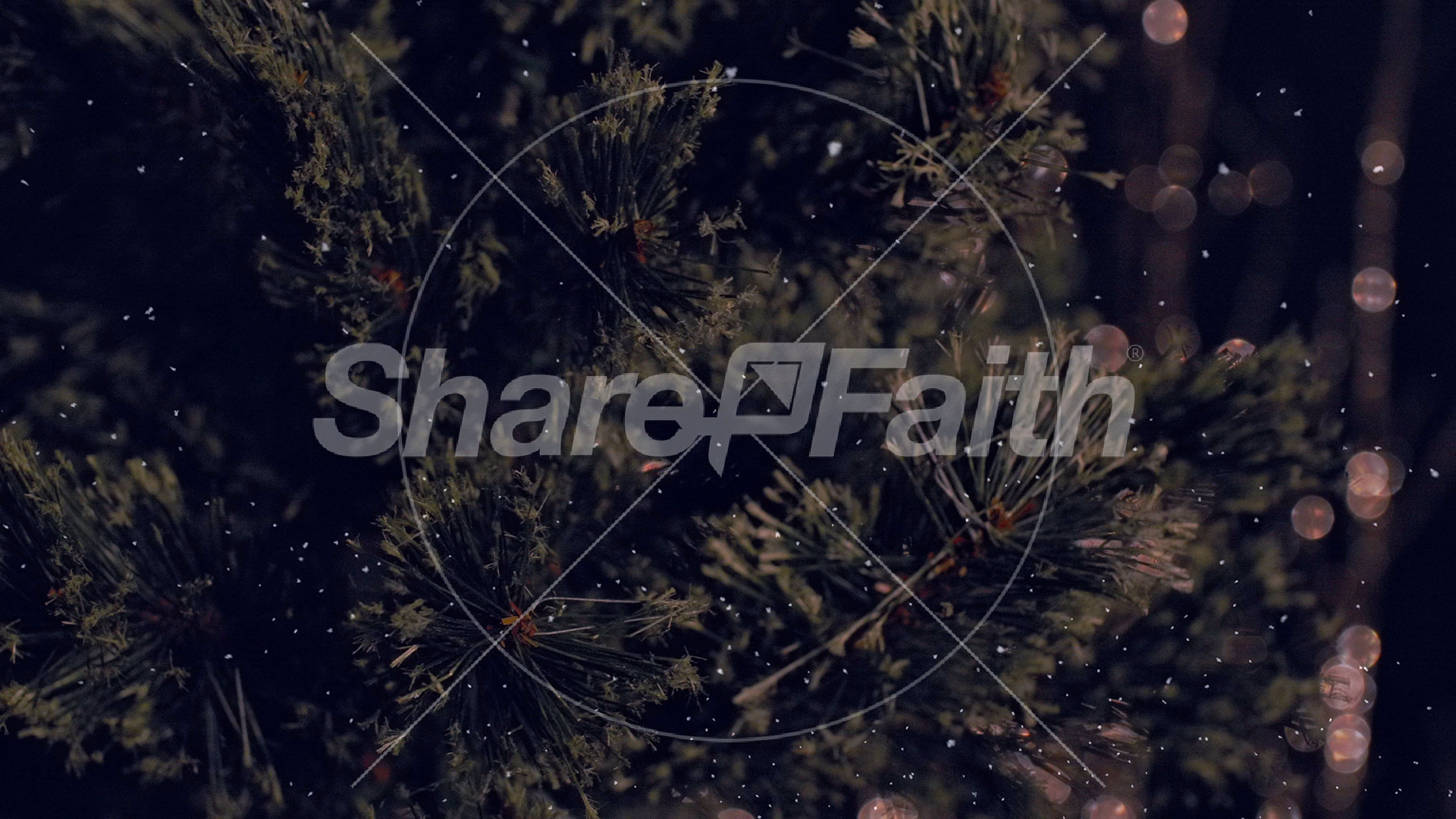 Christmas Tree: 2 – Still