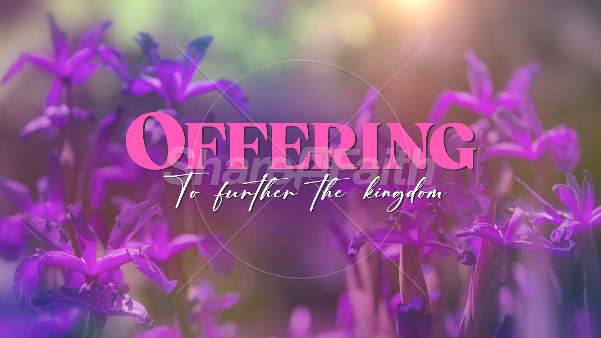 Mother’s Day Garden: Offering