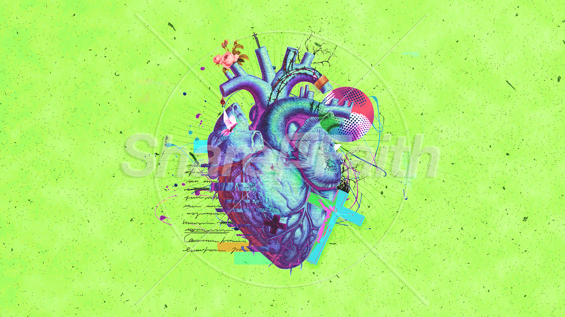 Radical Love: Title Graphics