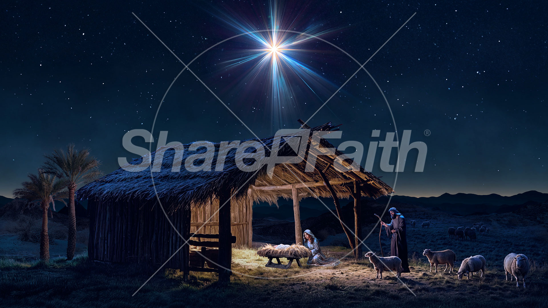 Christmas Promise Collection: Christmas Promise 2 Still