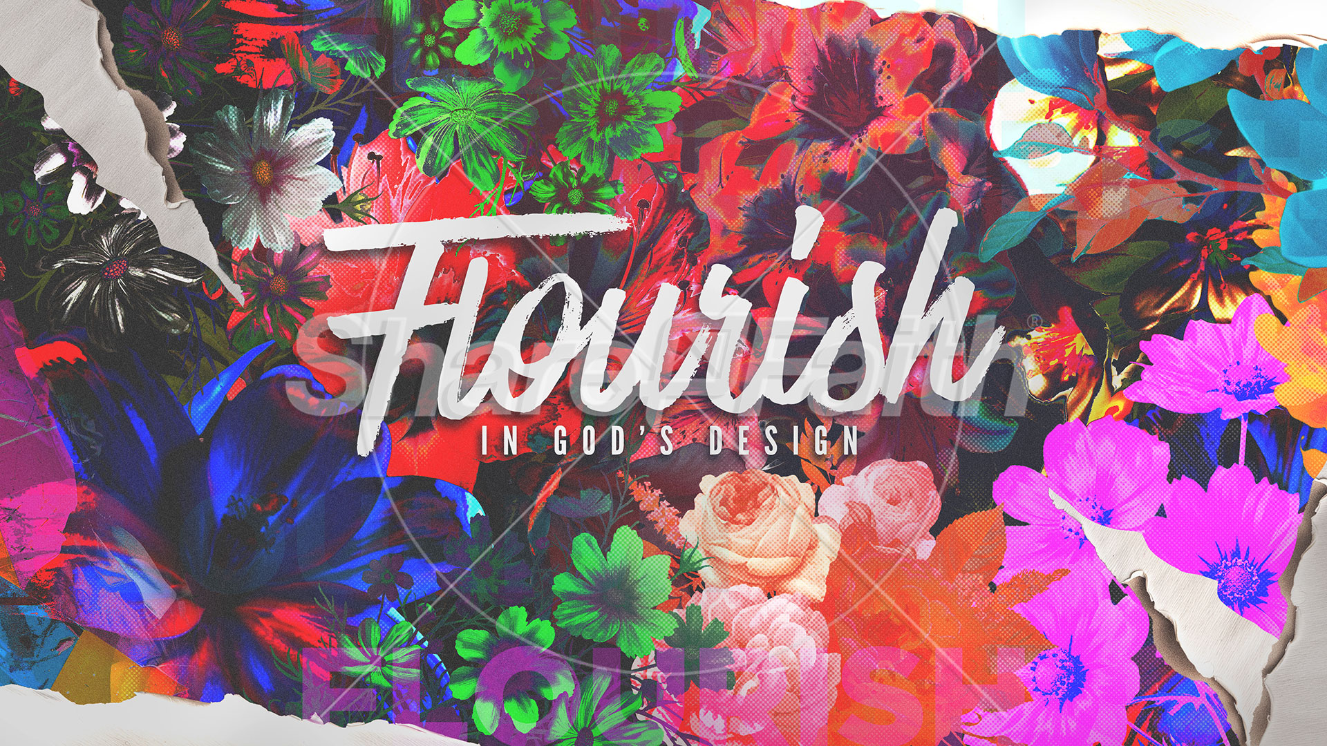 Flourish: Title Graphic