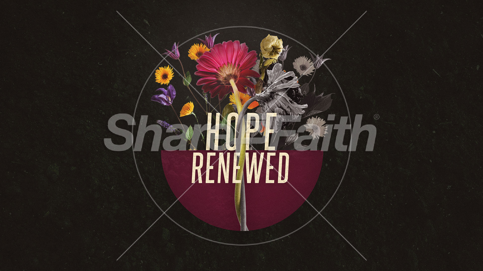 Hope Renewed: Title Graphics