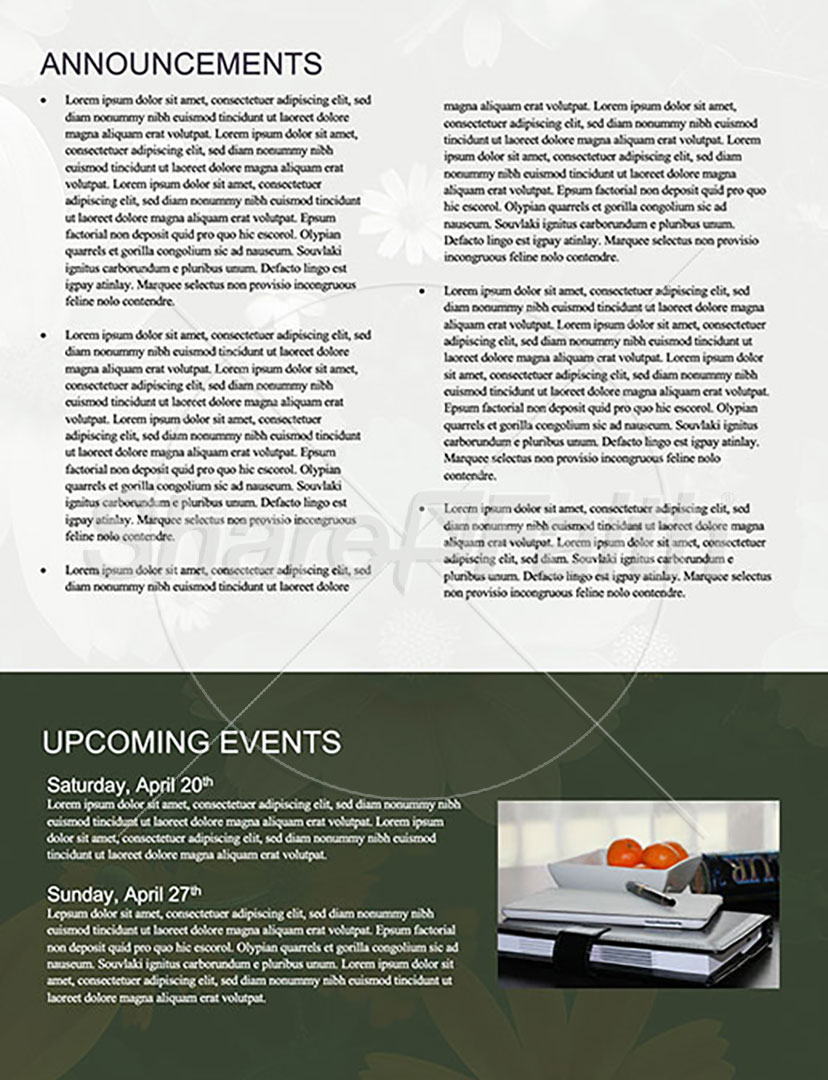 New Life in Christ: Newsletter