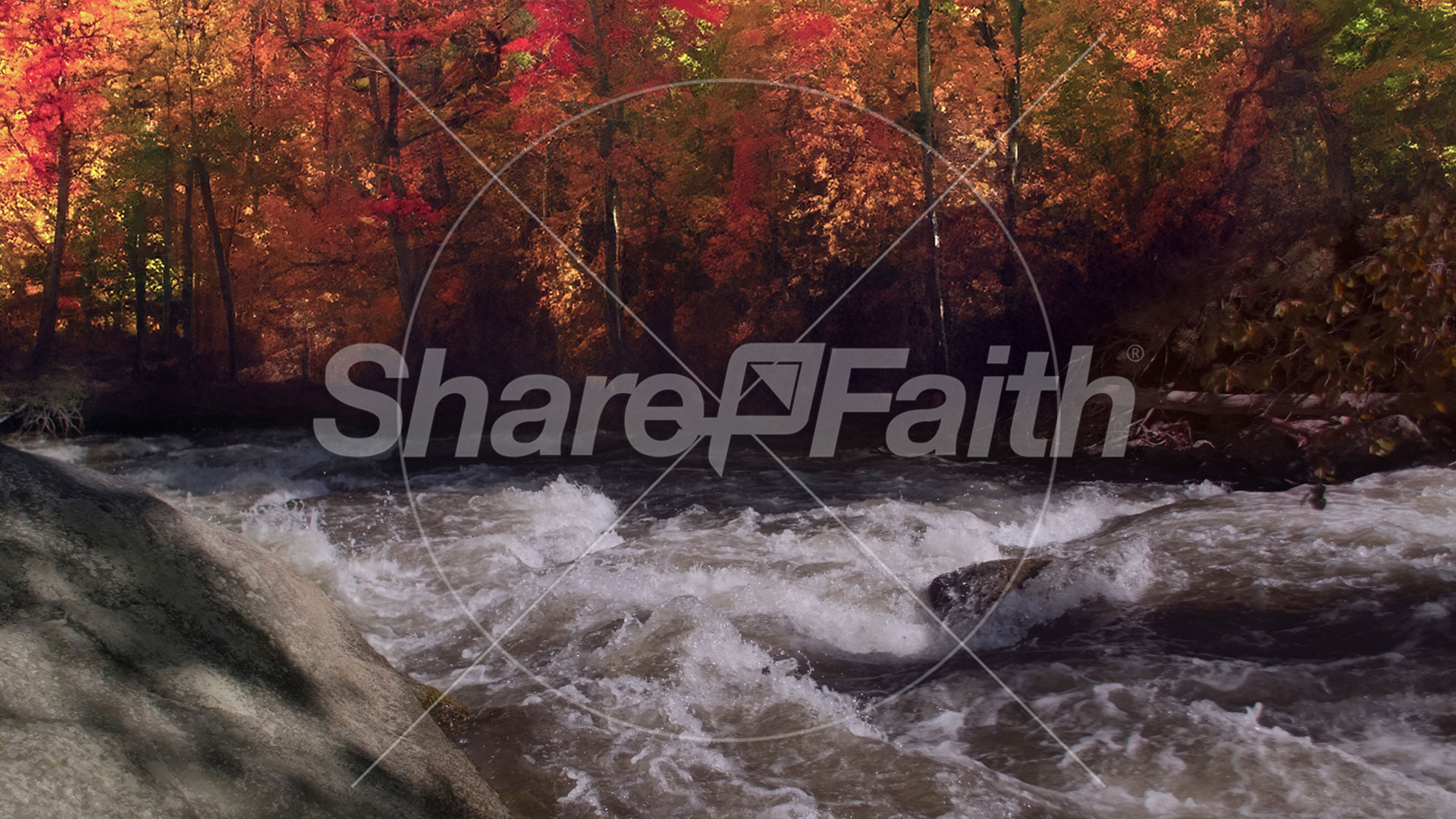 Northwest Fall Collection: Northwest Fall 6 Still