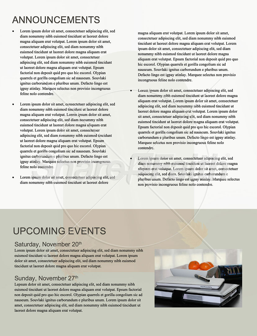 Happy Thanksgiving: Newsletter
