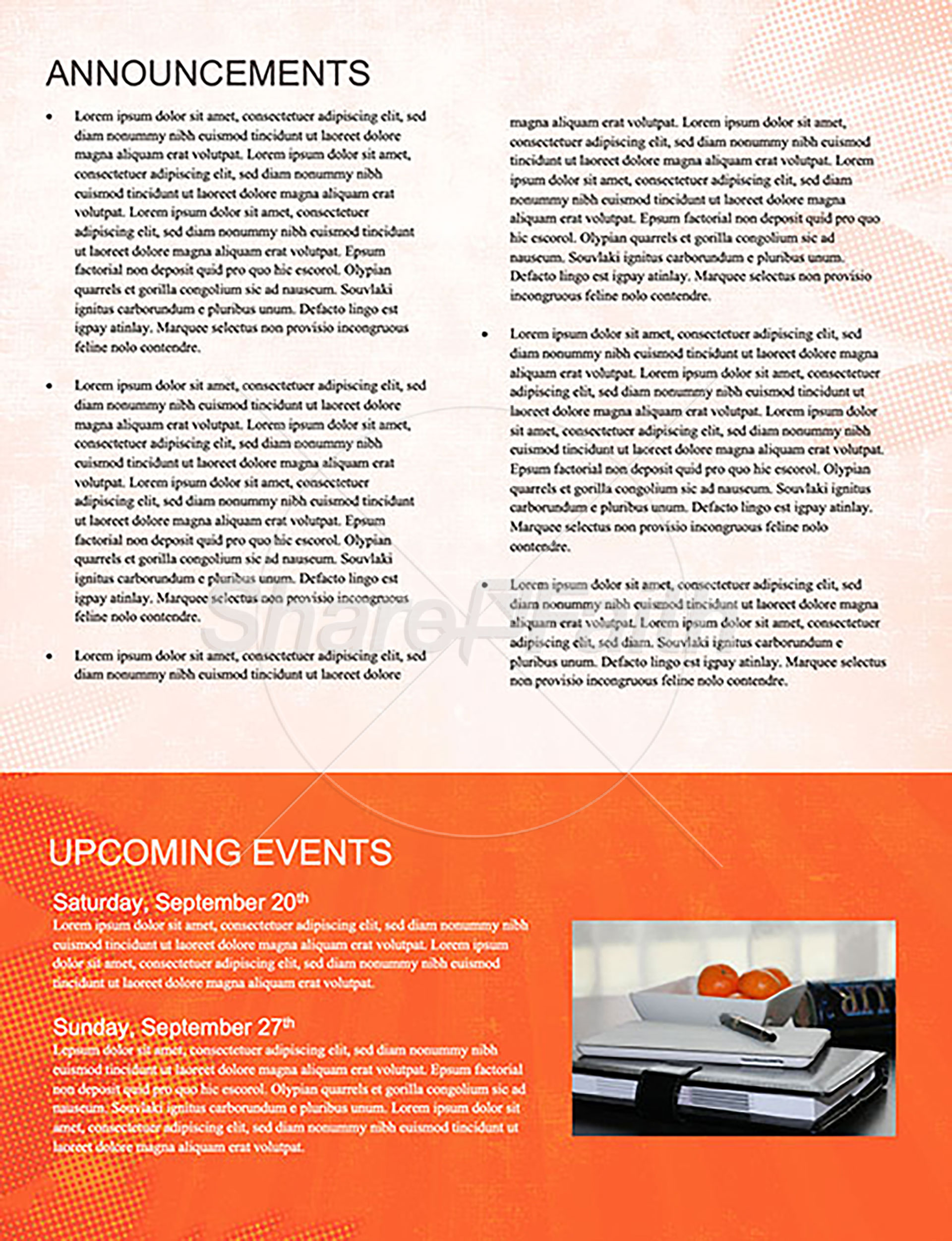 Harvest Palooza: Newsletter