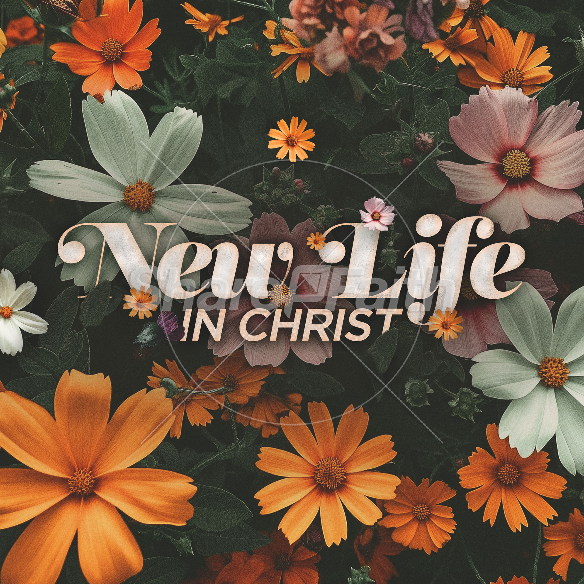 New Life in Christ: Social Media Graphics