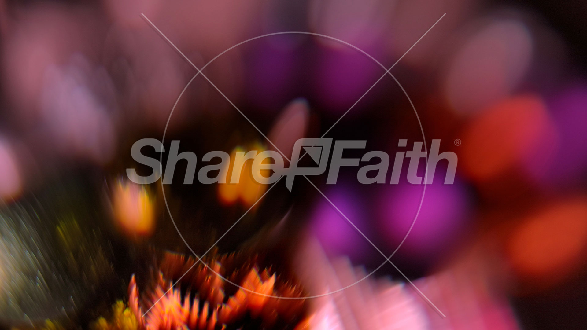 Christmas Ornamental Collection: Christmas Ornamental 19 Still