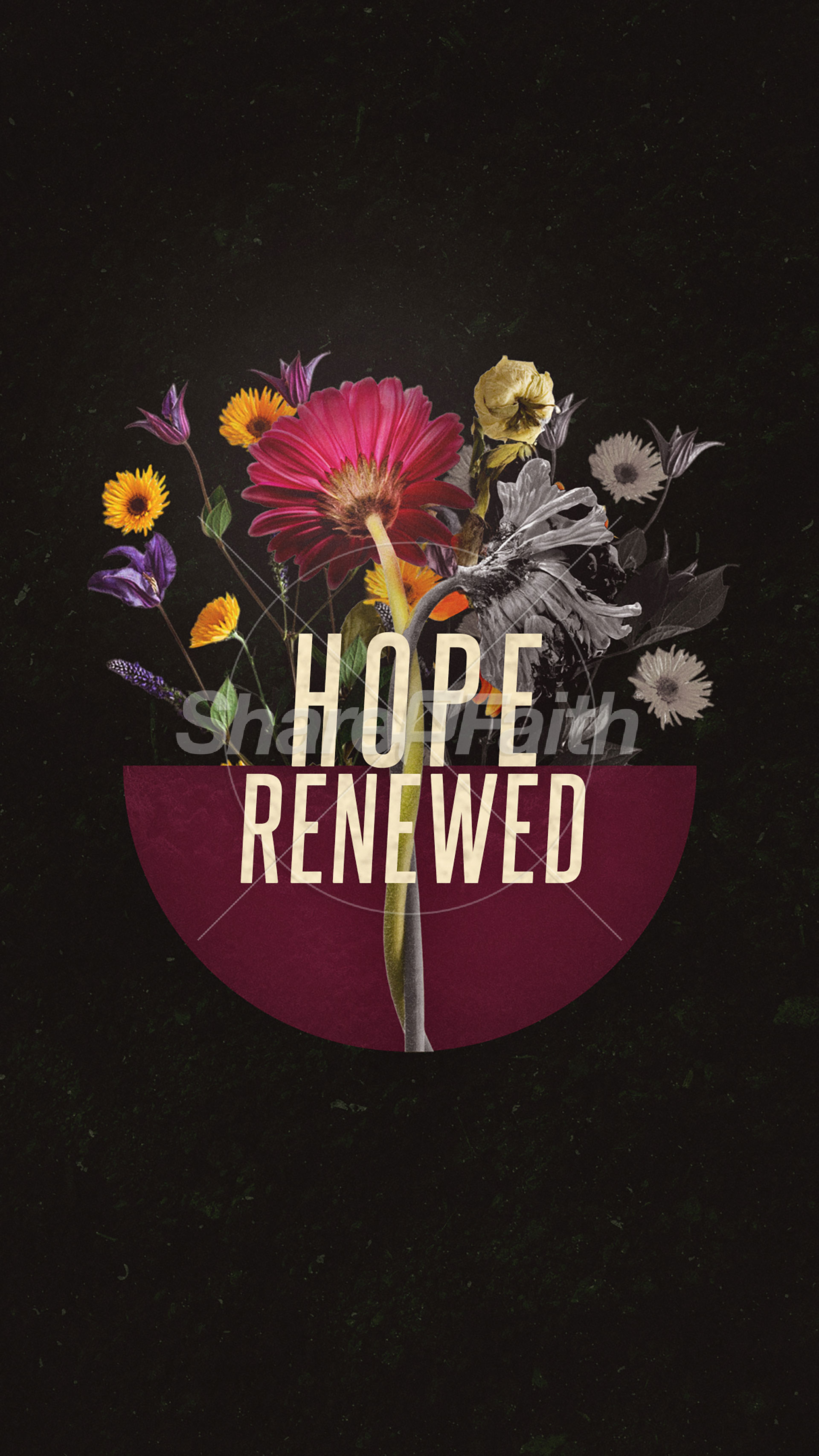 Hope Renewed: Social Media Graphics