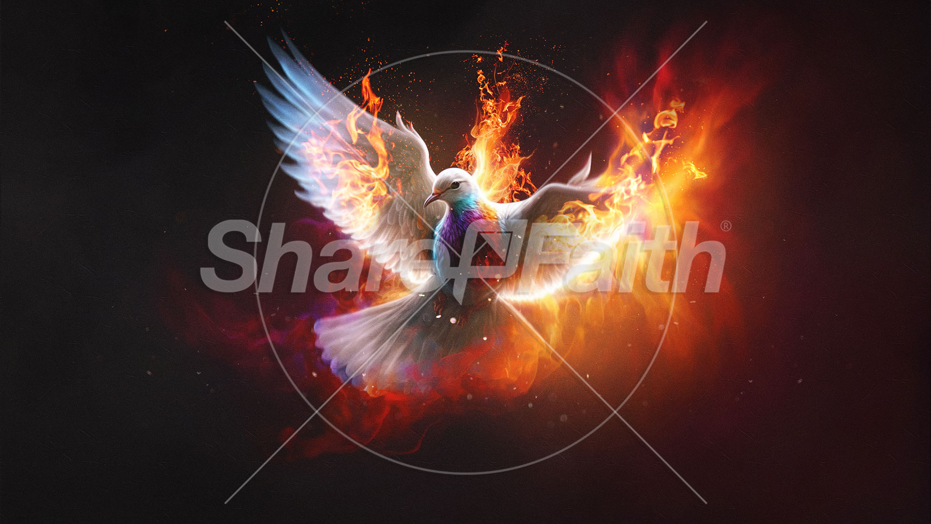 Pentecost Sunday: Title Graphic