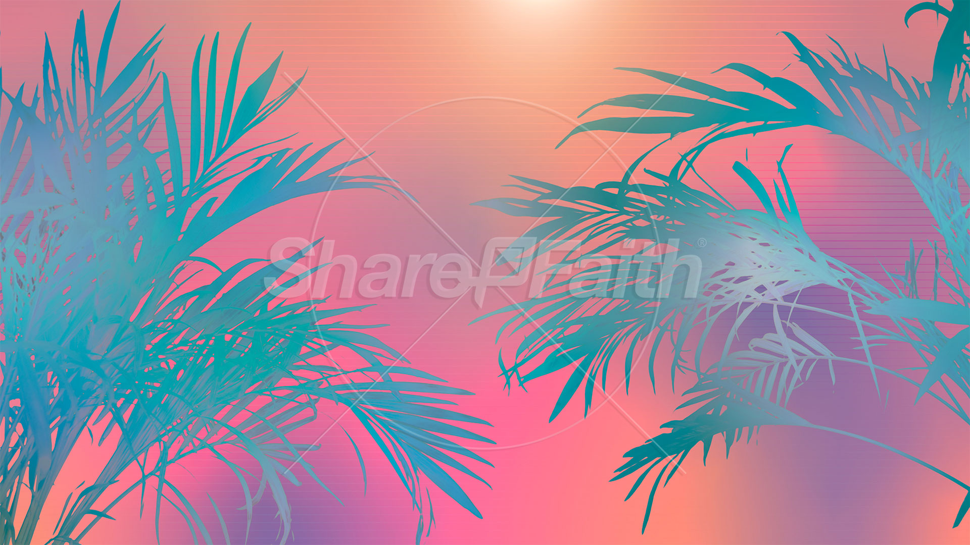 Sun Palms Collection: 8