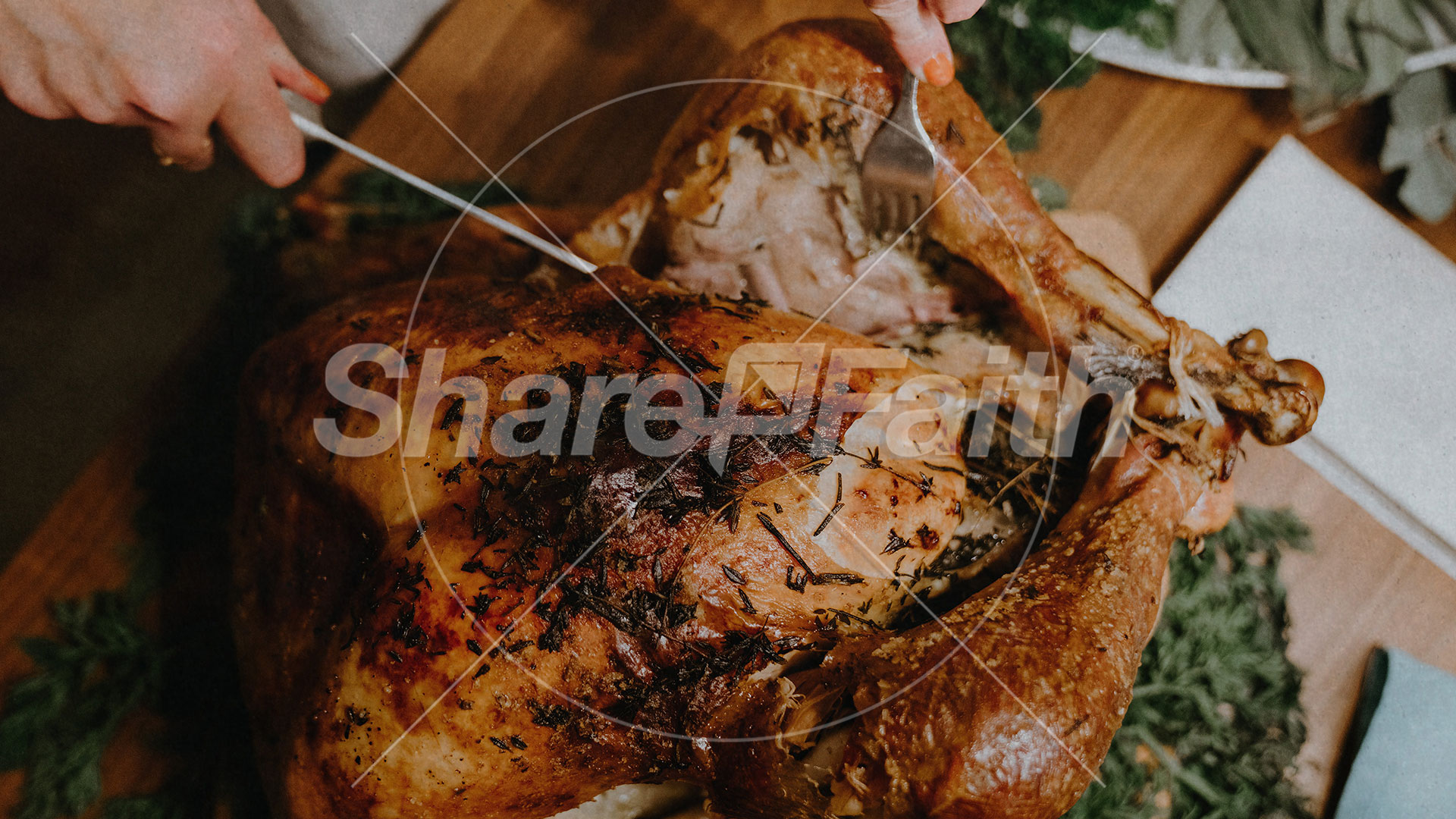 Happy Thanksgiving Turkey Title Graphics