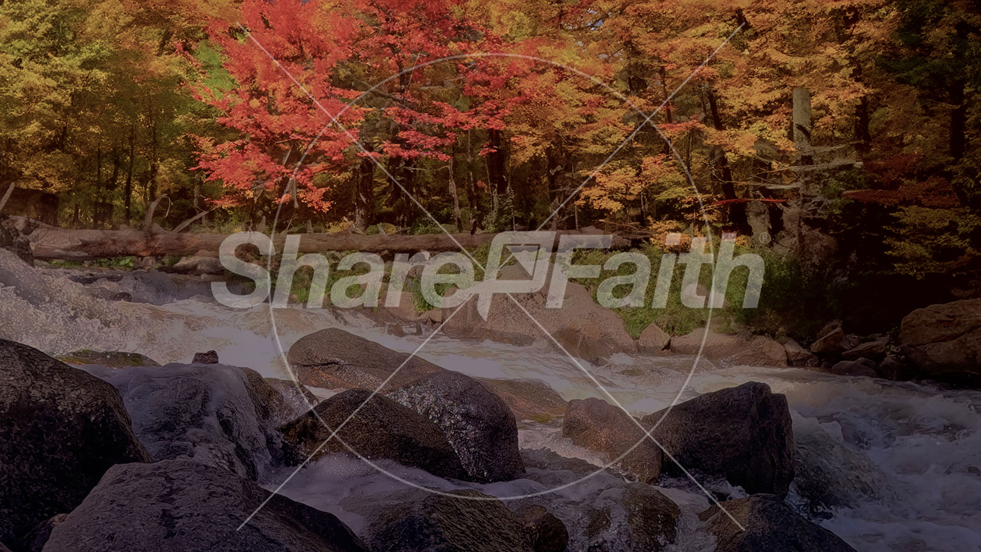Northwest Fall Collection: Northwest Fall 12 Still