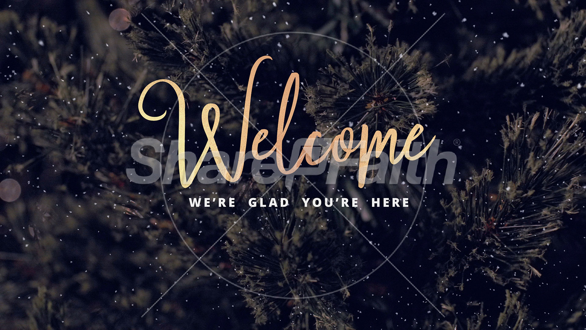 Christmas Tree: Welcome – Motion