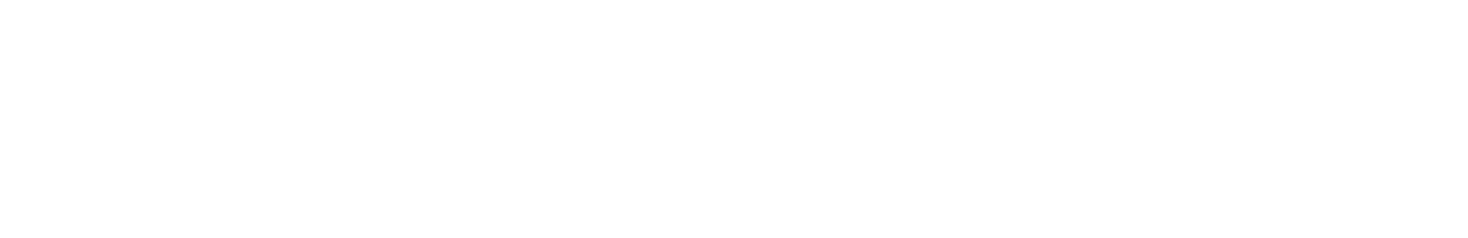 Pgt Logo White