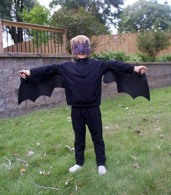Bat costume with mask