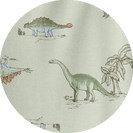 dinosaur print