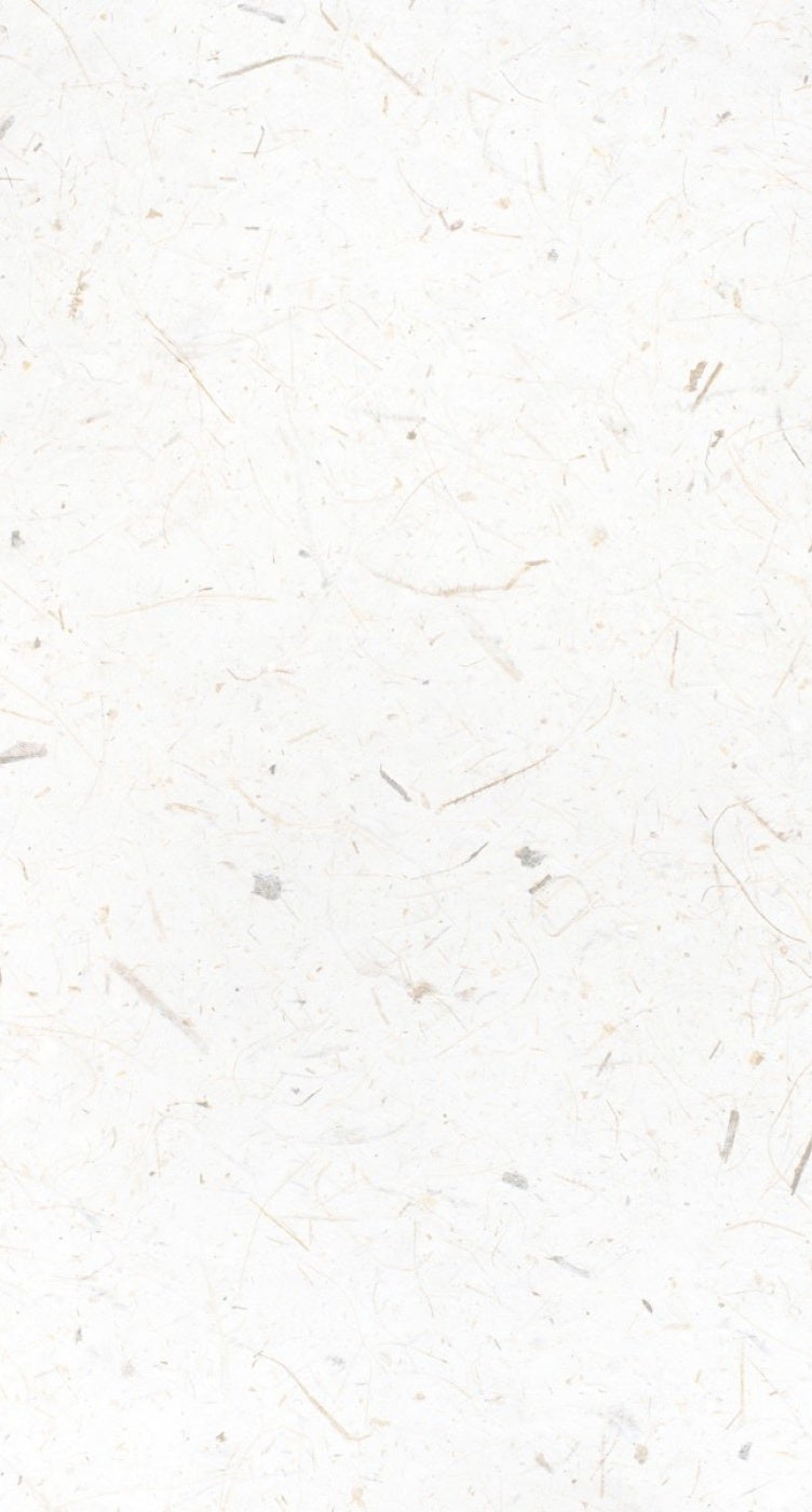 paper background