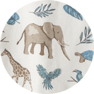 safari