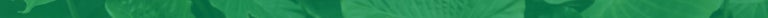 green leaves background