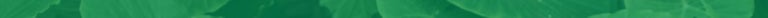 green leaves background