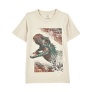 Kid Boy Graphic Tees