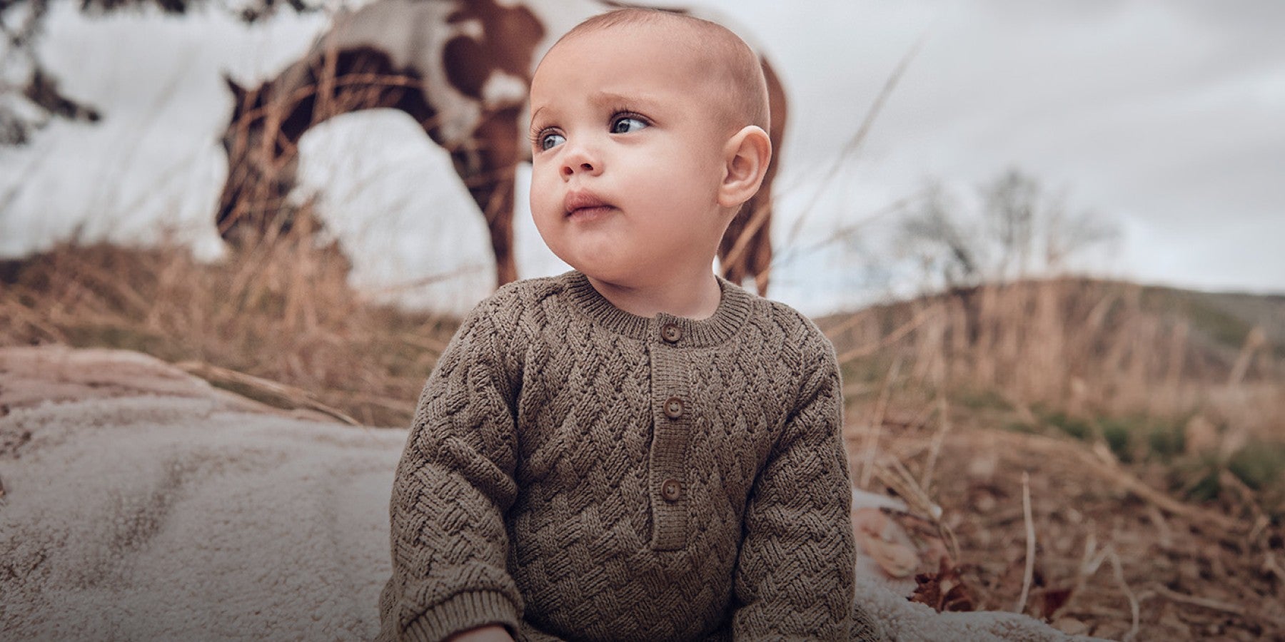 baby in sweater, sitting in a field