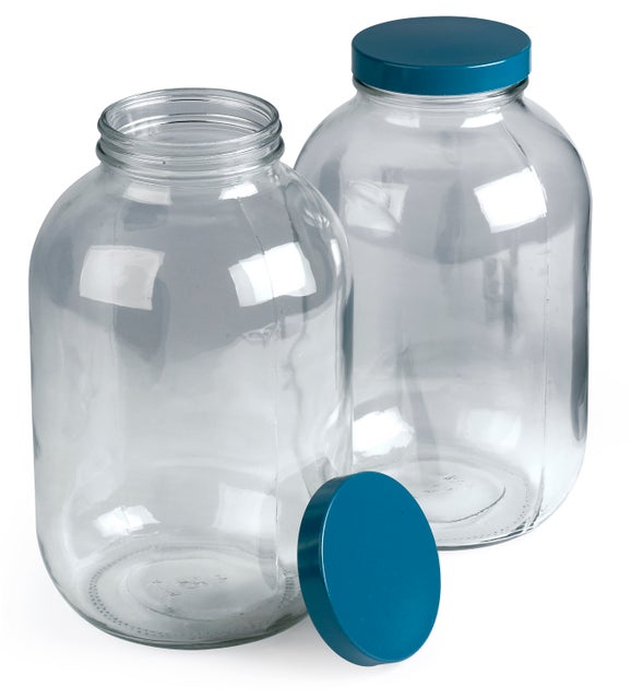 Bottle Set of 2, 1 Gallon Glass with PTFE Lined Caps