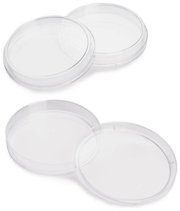 Dish, Petri, 15 x 100 mm, 20/pk