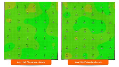 Most fields are already overfertilized, showing very high levels of phosphorus and potassium.
