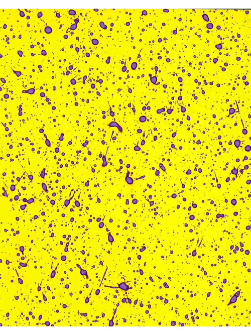 Spray card results of a TeeJet TTI60 nozzle spraying at 48 PSI, 13 GPA, and 10 MPH.