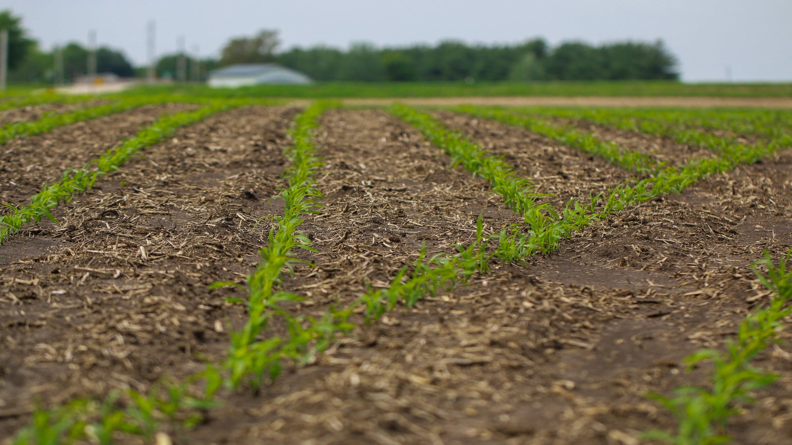 simple to use farming planting technology