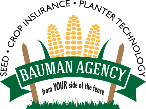 Bauman Agency logo