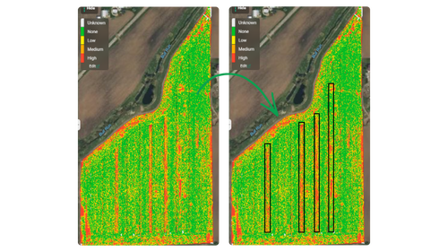 Weed severity maps that highlight the four 30-foot treatments that did not receive residuals at planting.