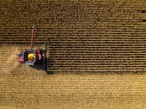 HeadSight allows you to add corn header height and tilt control across various makes and models of Case IH equipment.  