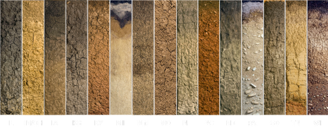Soils left to right: Illinois, Indiana/Ohio, Iowa, Kansas, Kentucky, Michigan, Minnesota, Missouri, Nebraska, North Dakota, Pennsylvania, South Dakota, Tennessee, Wisconsin.